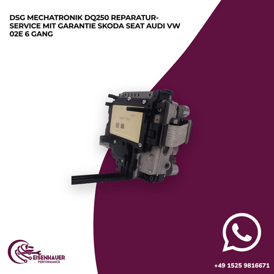 DSG Mechatronik DQ250 Reparatur Service️ ️Skoda Seat Audi VW 02E 6 Gang