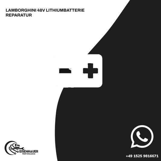 Lamborghini 48V Lithiumbatterie Reparatur